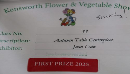 IMG 1585