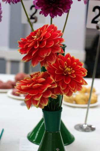 IMG 0006