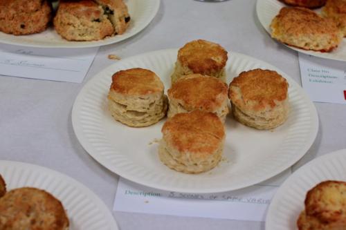 IMG 9851