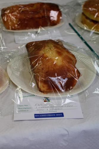 IMG 9873