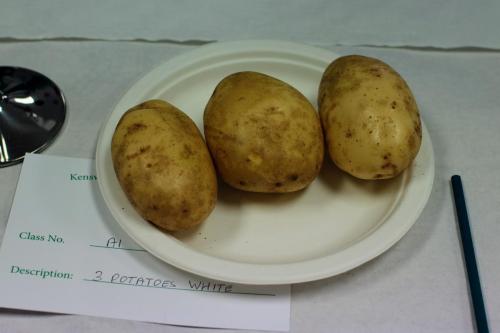 IMG 9897