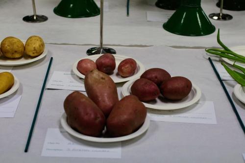 IMG 9903