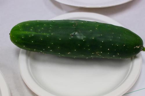 IMG 9917