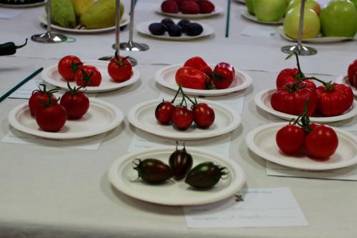 IMG 9918