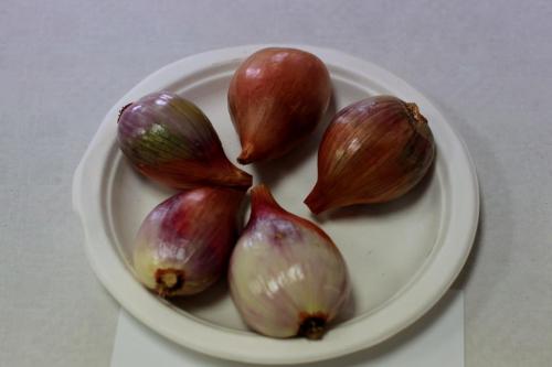 IMG 9936