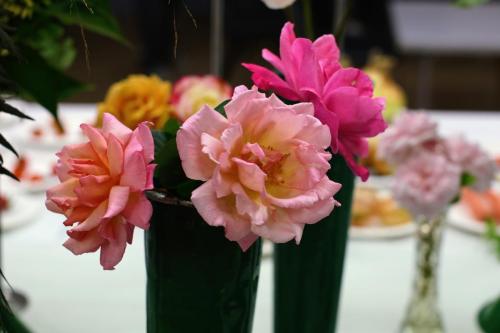 IMG 9963