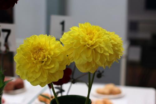 IMG 9993